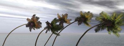 Be Prepared for the 2013 Hurricane Season. . .